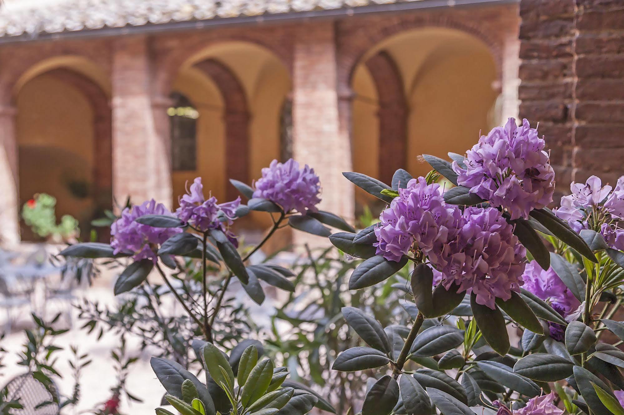 Il Chiostro Del Carmine 4* Siena